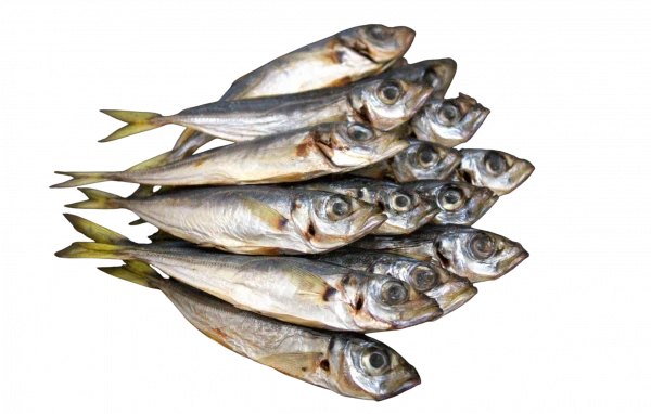 Ставридка в'ялена